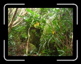 Tortola 125 * 2048 x 1536 * (1.97MB)